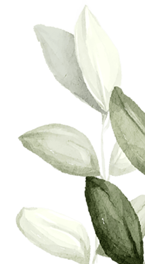 branch-2
